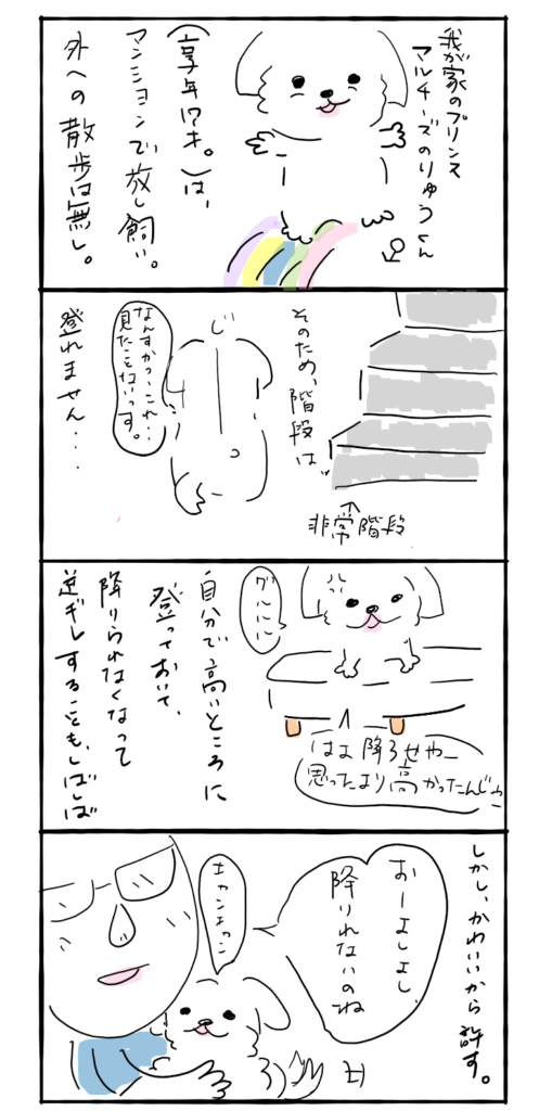 唸る犬をゆるす親ばか 独女雑記 ハイ子のブログ 唸る犬をゆるす親ばか 独女雑記 ハイ子のブログ